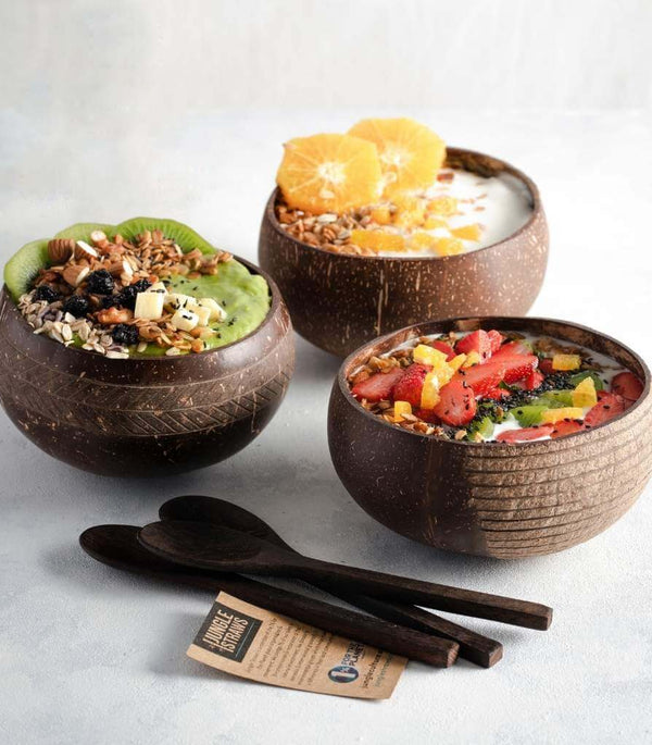 Eco-friendly Coconut Bowls & Spoons Set of 2-0