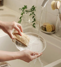 Sustainable Dish Brushes | 4 Piece Starter Set w/ Loofah Sponge-4