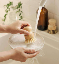 Pots & Pans Scrubbing Brushes (Set of 2)-3